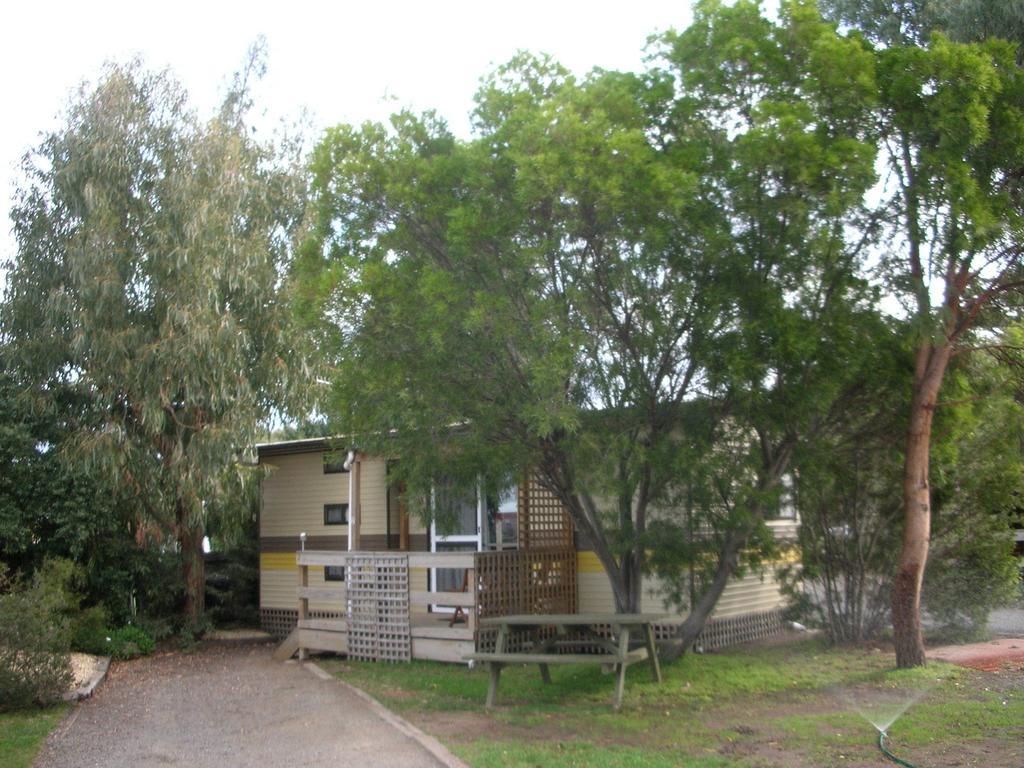 Triabunna Cabin & Caravan Park Rom bilde